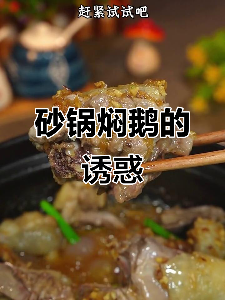 老板娘推荐,砂锅焖鹅香嫩入味,吃一次就停不下来!