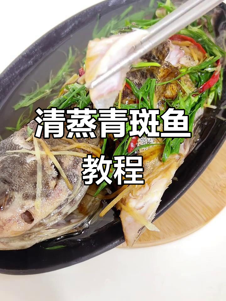 福建婆婆教你做清蒸青斑鱼,鲜嫩无压力