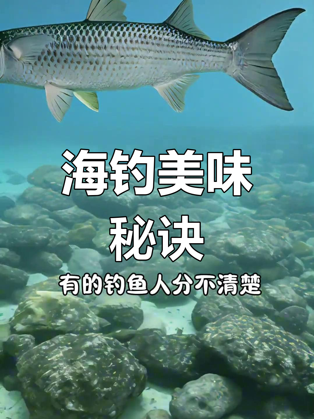 梭鱼鲜美,做法得当,老婆天天催你出海!