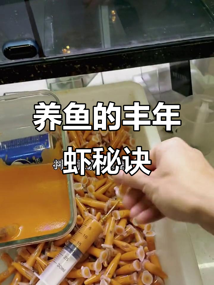 丰年虾与红线虫的秘密:养鱼必备营养饲料