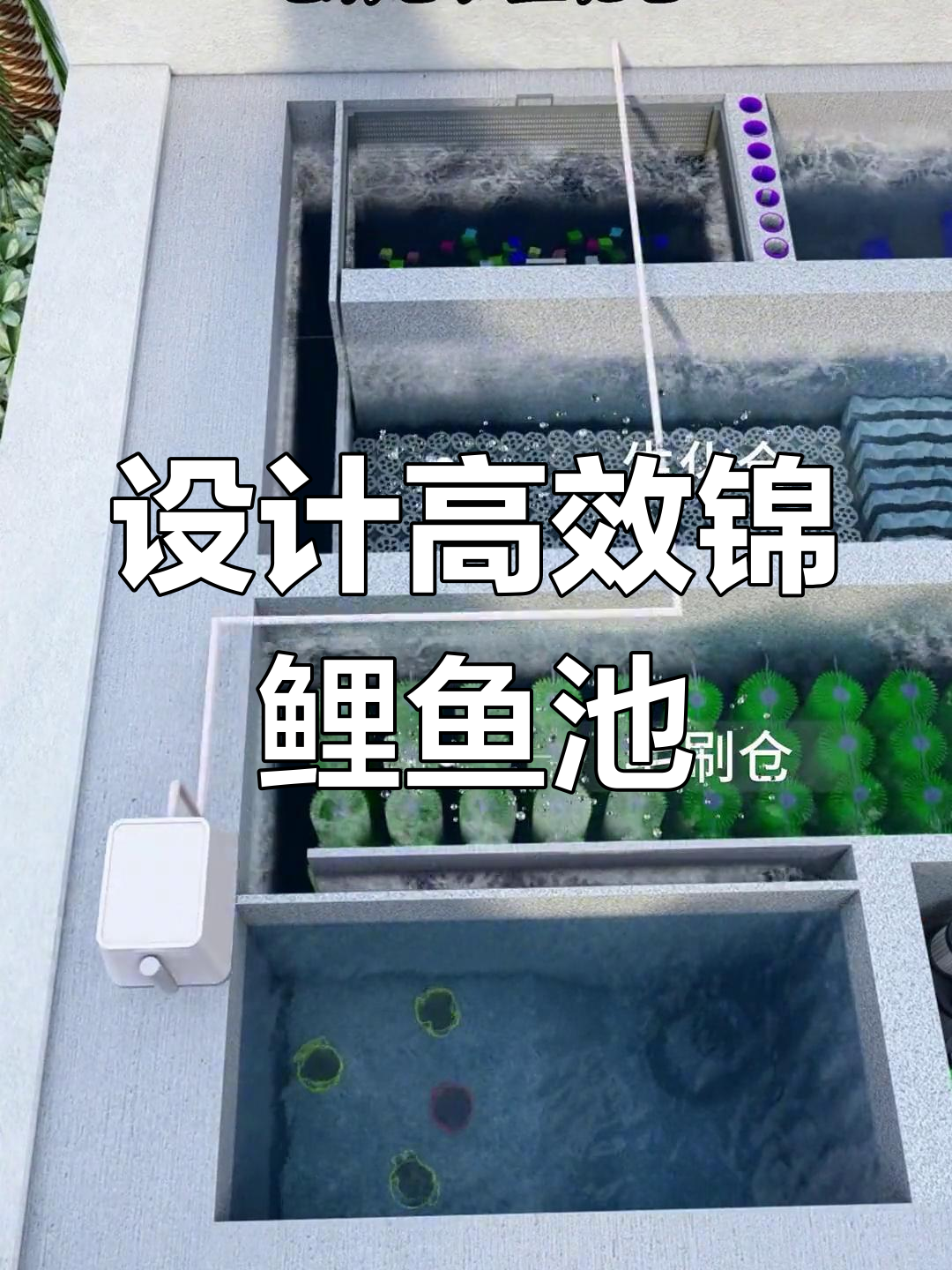 鱼池设计与恒温系统解析