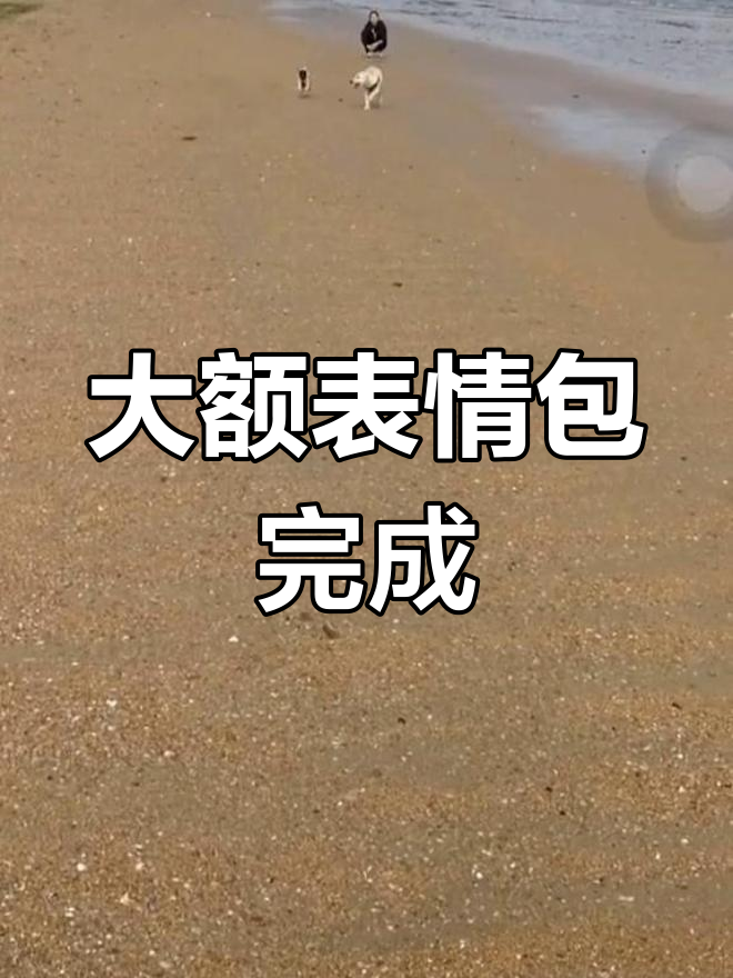 挑战16天,大鹅表情包第二期完美收官