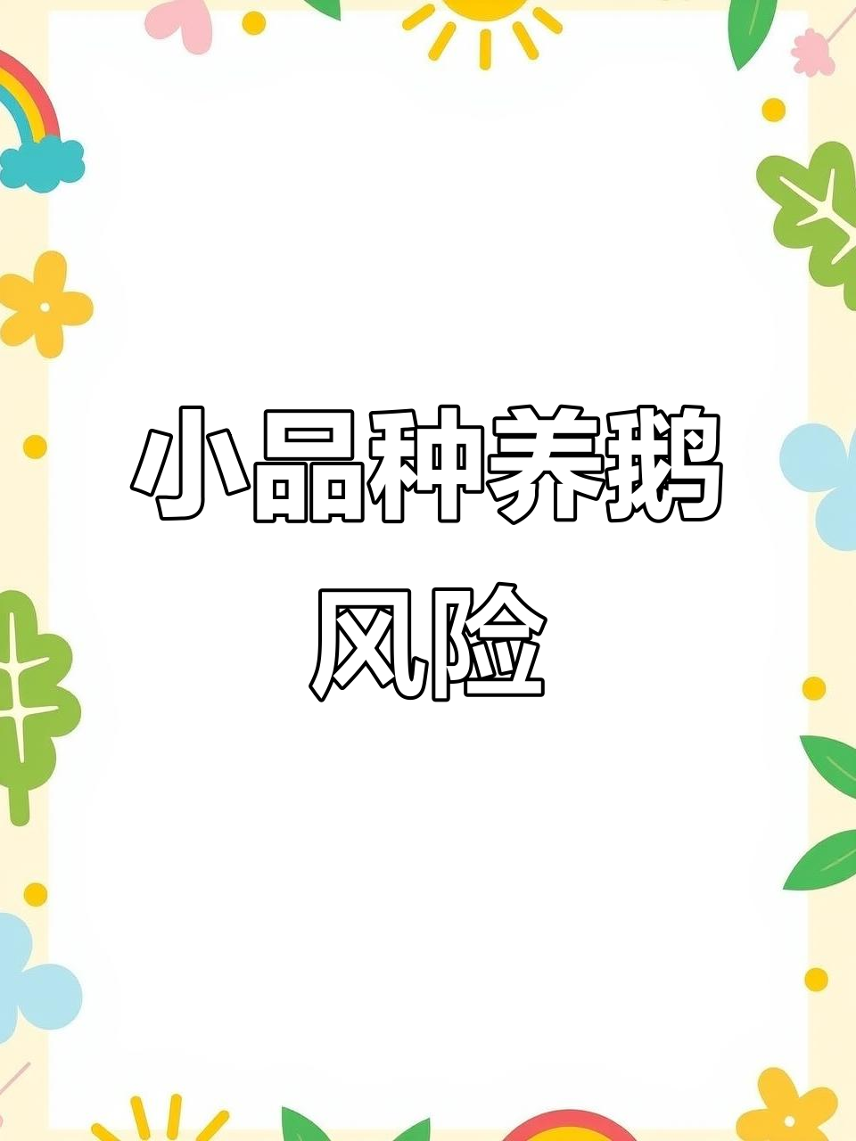 养鹅品种选择大揭秘：小品种难卖，选对才不赔钱