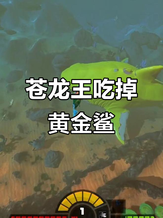 苍龙王突然飞走,黄金鲨鱼被吞食!海底大猎杀惊现新局面