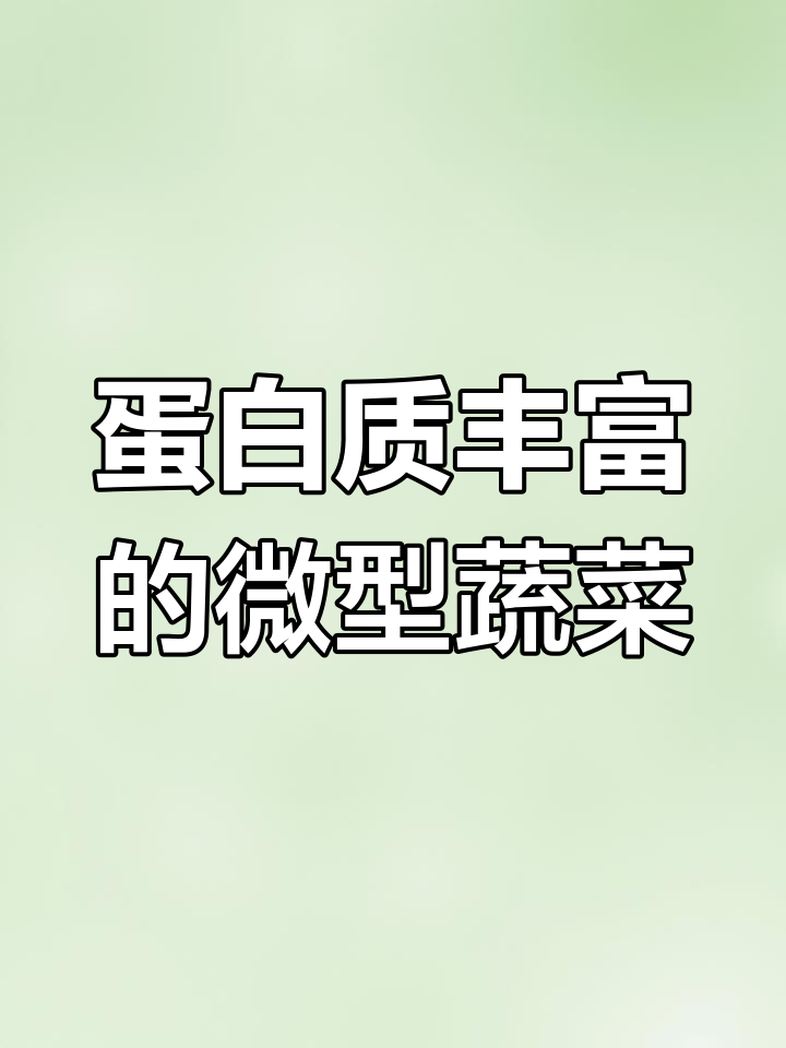向日葵芽菜的营养价值