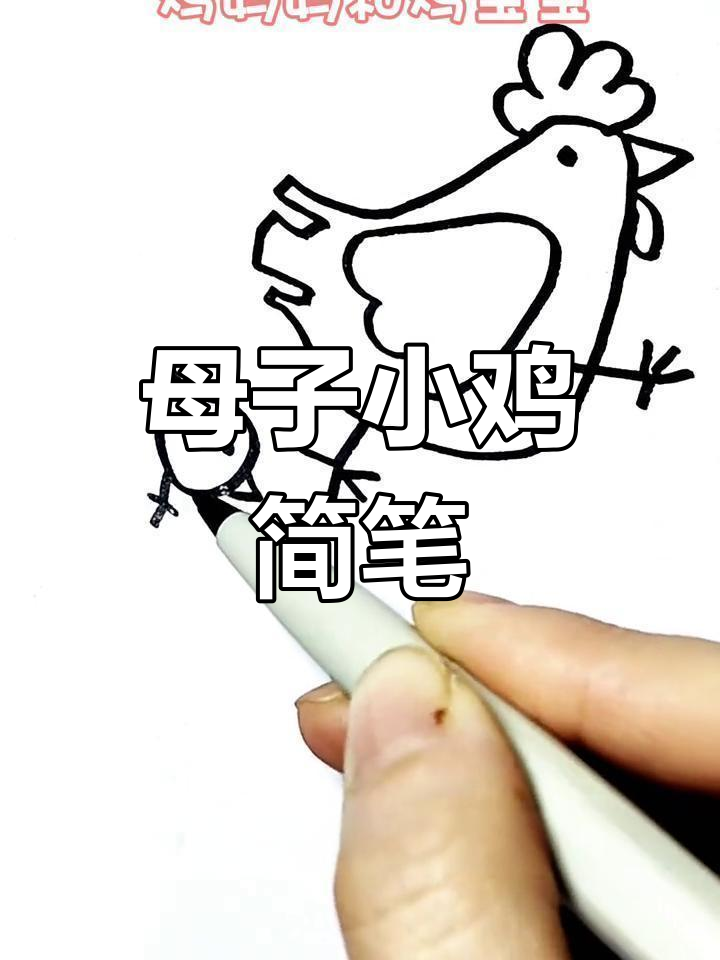 鸡妈妈和小鸡的简笔画,简单又有趣!