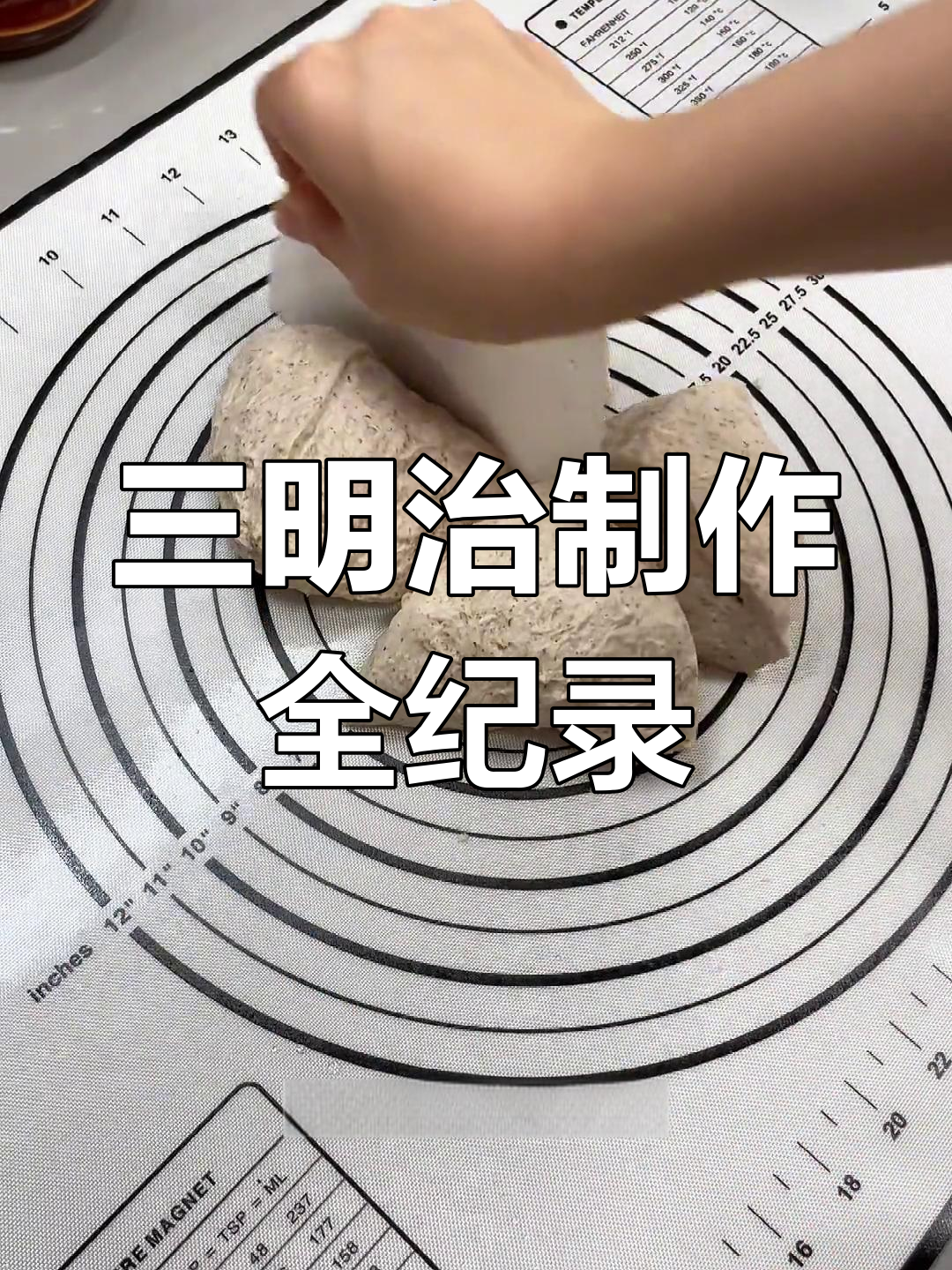 帕尼尼亲手做三明治,从面包胚到馅料全程亲力亲为!