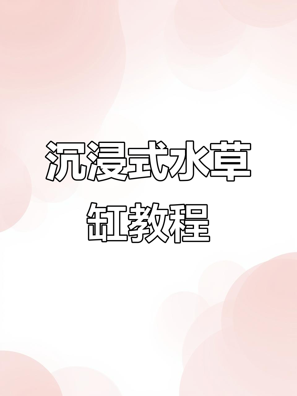 水草缸养殖全攻略:从种子到鱼群展示,轻松搞定