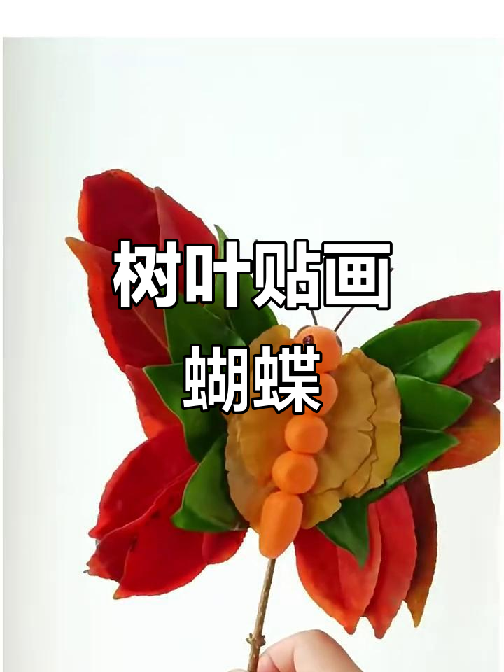 用树叶做蝴蝶贴画,简单又有趣