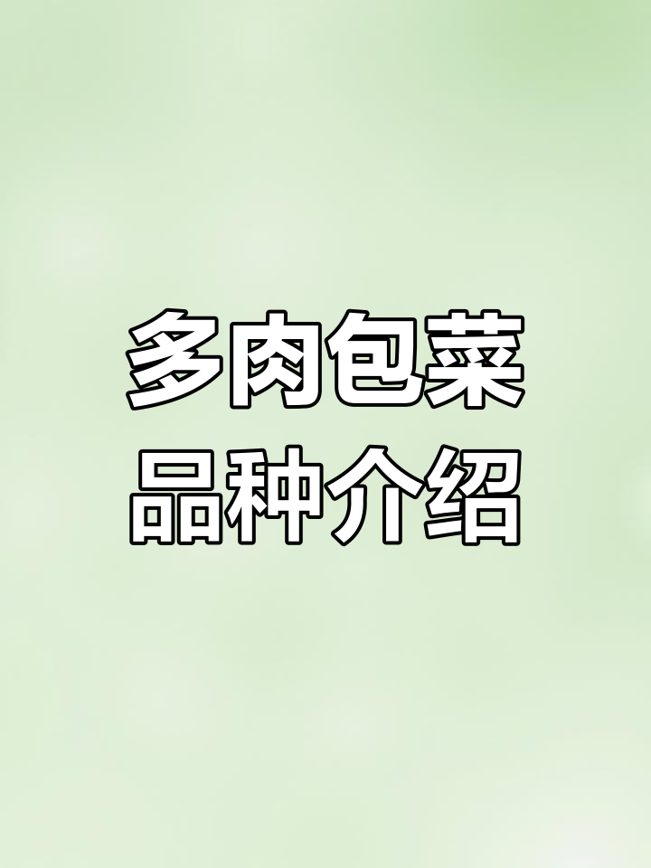 包菜多肉全系列解析