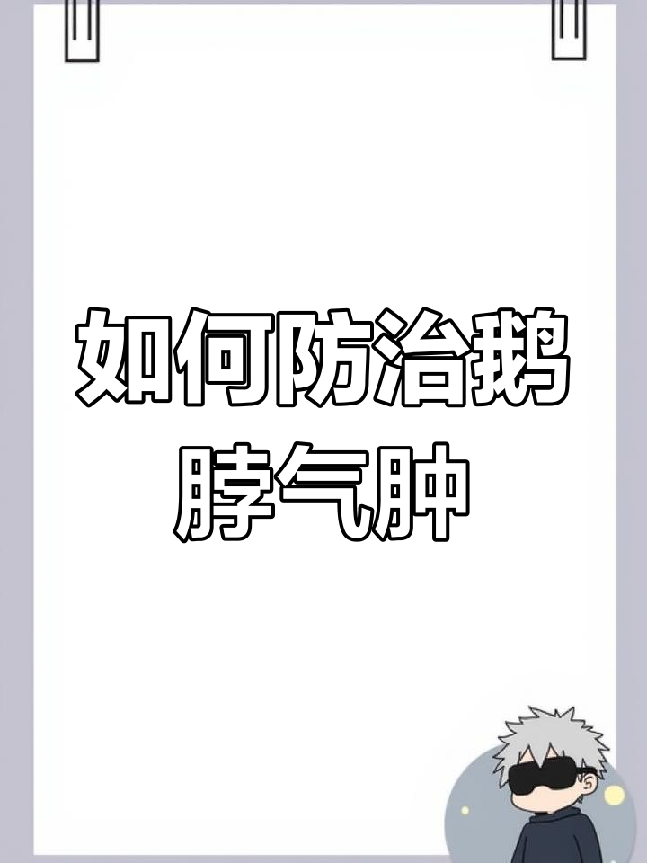 鹅脖气肿原因及应对方法,养殖技巧大公开