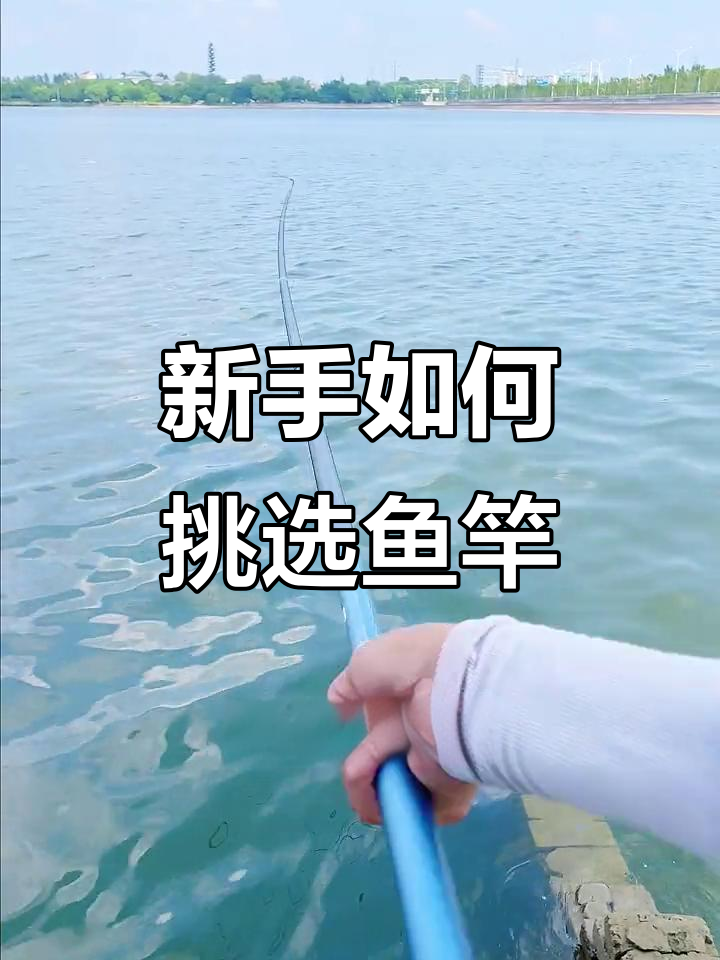 新手选鱼竿必看！五米四以内最合适，价格别超三四百
