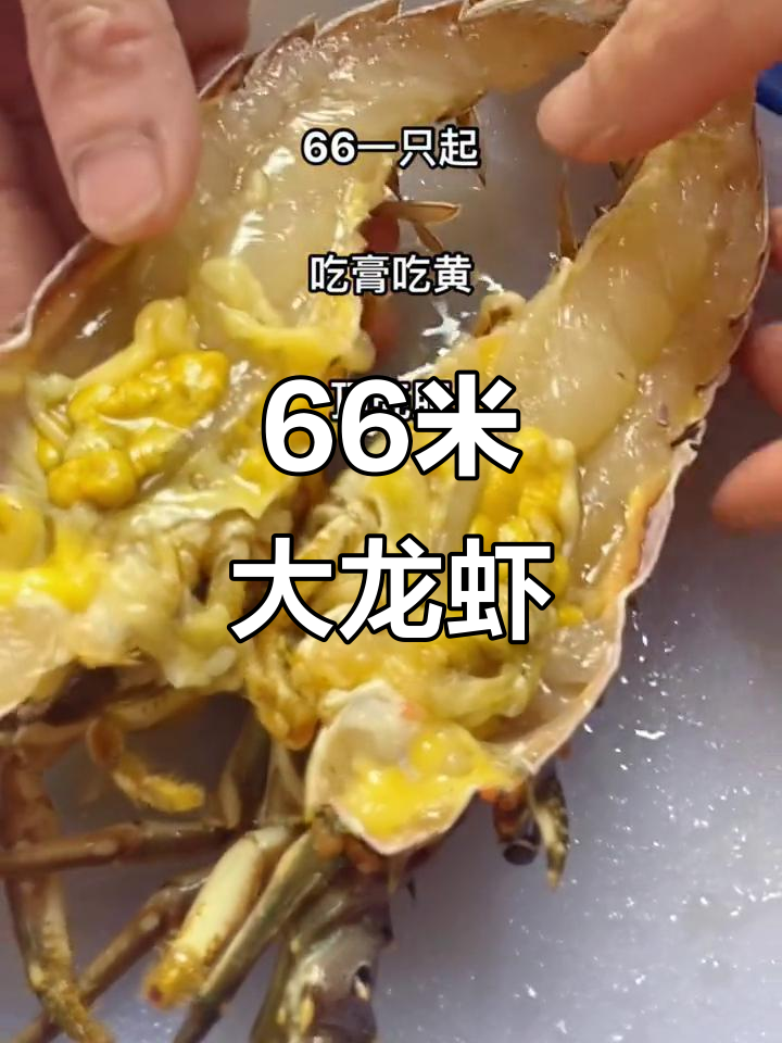 66米巨型龙虾现身,活发顶壳肥美惊人