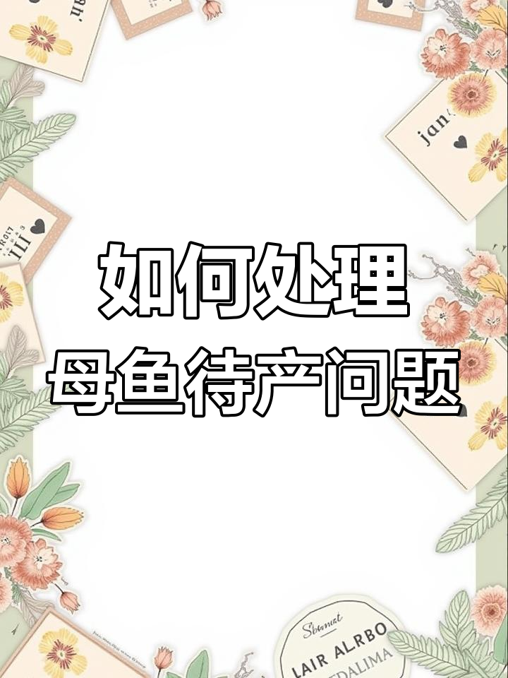 母鱼临产却迟迟不生?教你如何应对孔雀鱼的生育难题