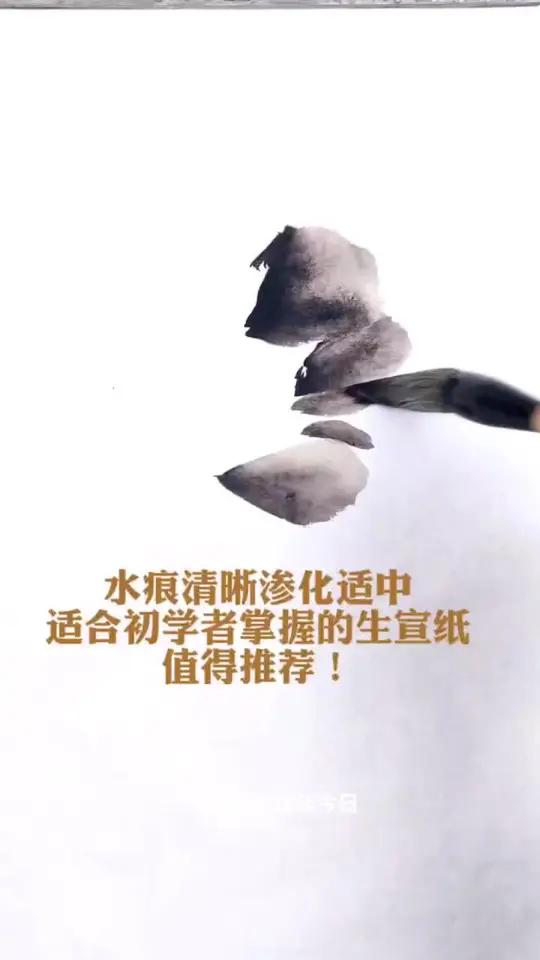适合初学掌握的生宣纸画画国画牡丹好物推荐凌霄花牡丹画法