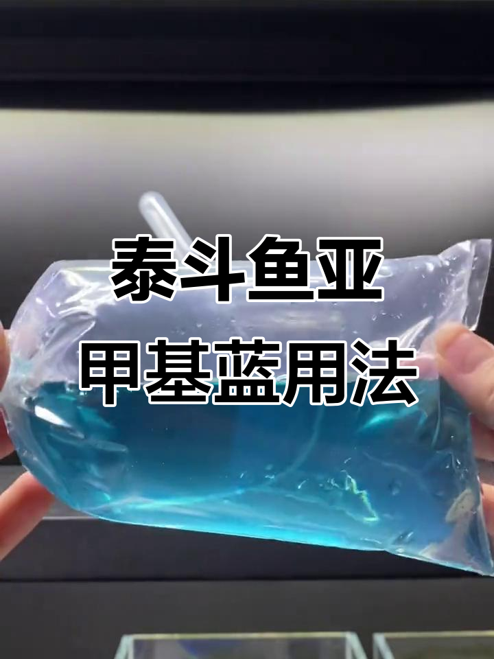 亚甲基蓝使用指南：如何正确应对泰国斗鱼常见问题