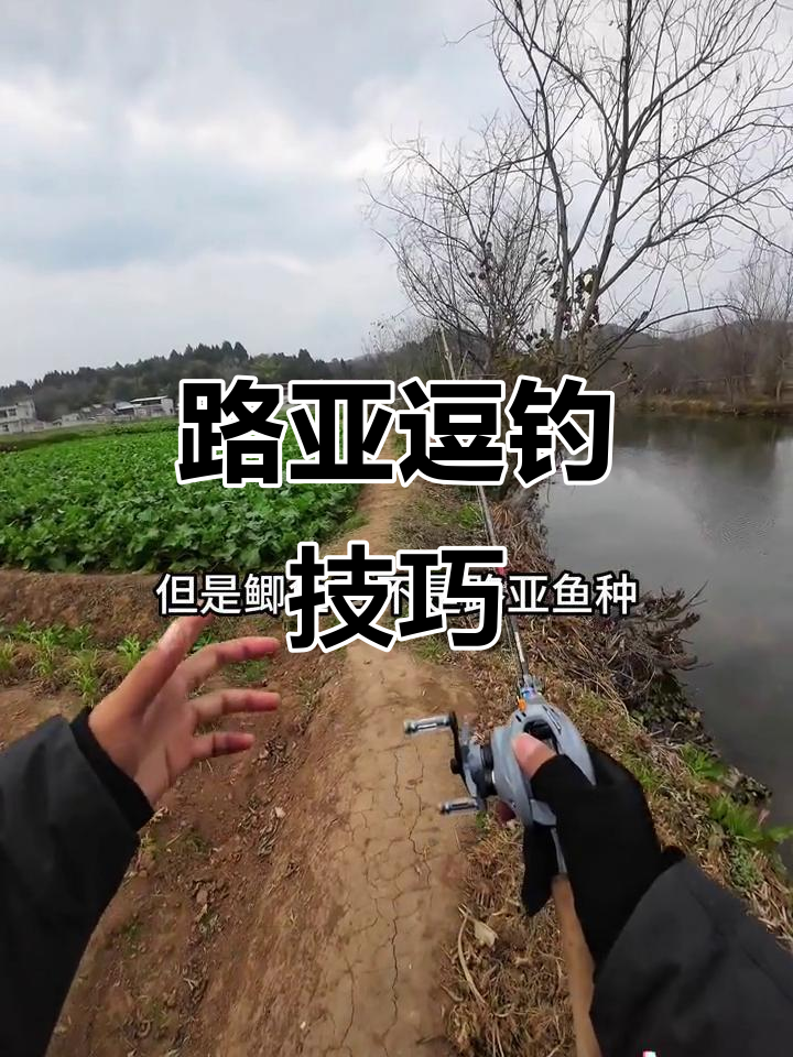 不打窝路亚逗钓鲫鱼,如何找到鱼群?