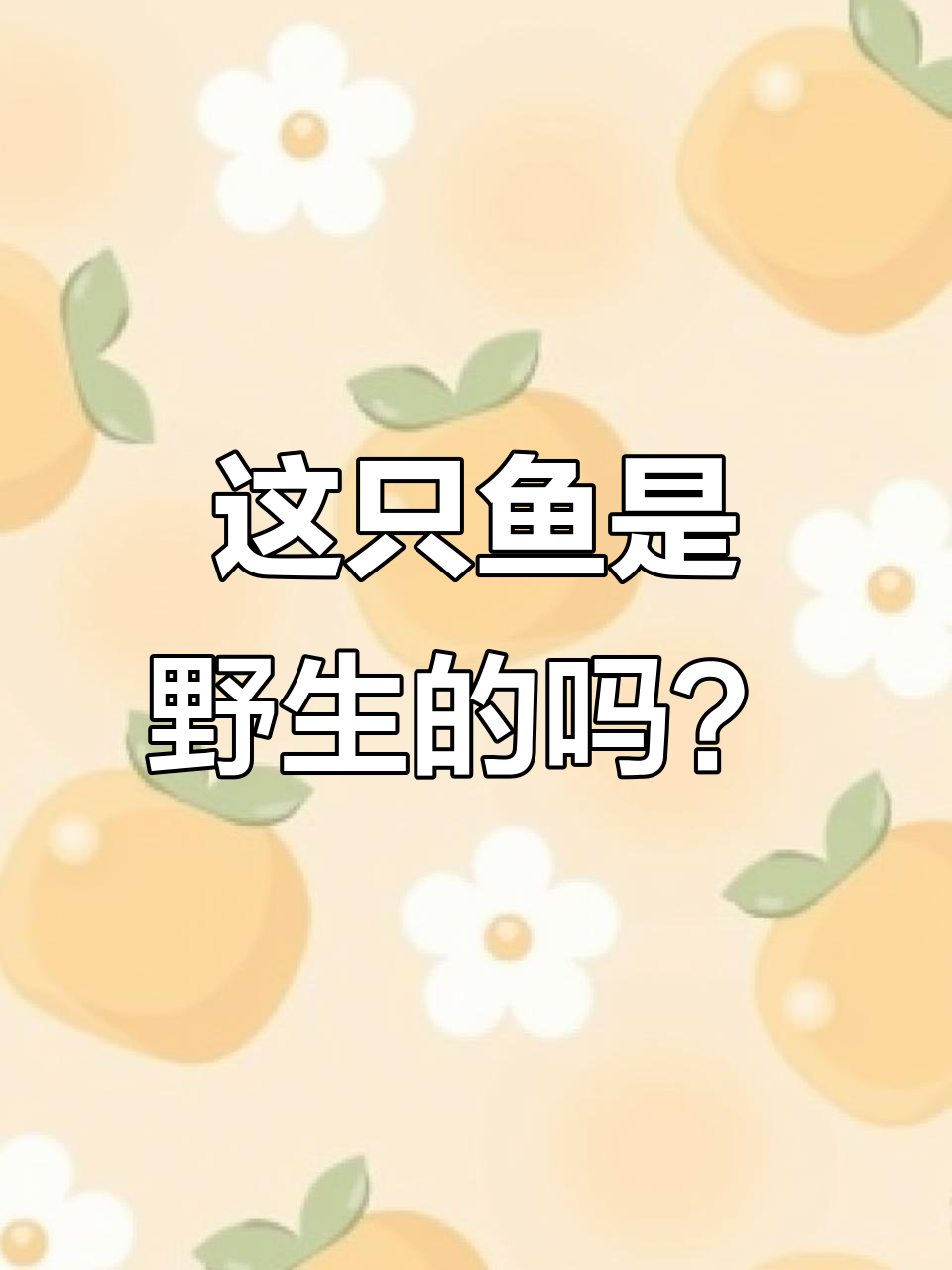 甲鱼兄弟带你了解野生与家养的区别,看这只鱼的独特特征