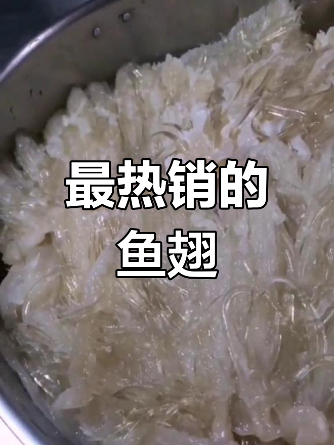 鱼翅种类大对比,哪种最受欢迎?