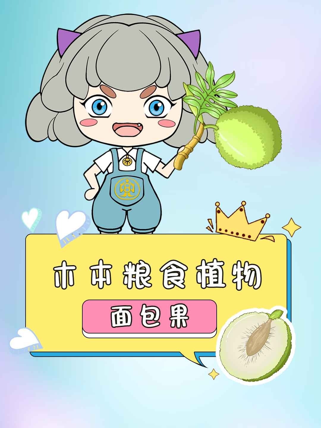 面包果真正的木本粮食植物!我们国家也有哦