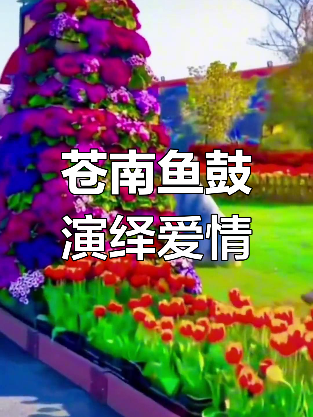 苍南鱼鼓:传统艺术与爱情故事交织的魅力