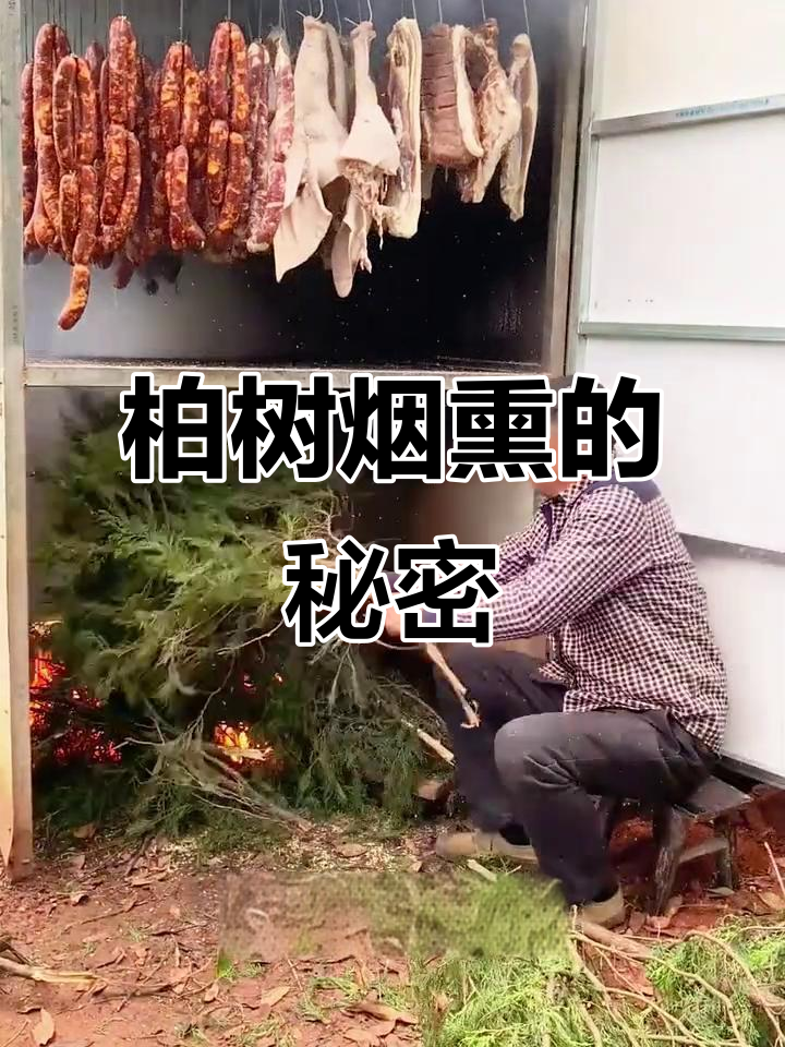 为什么四川腊肉要用柏树枝熏制?千年技艺揭秘