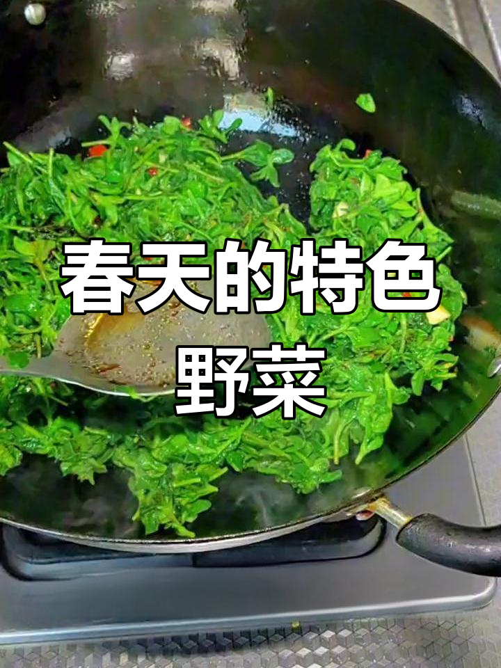 春天里的独特野菜,尝过才知道的美味