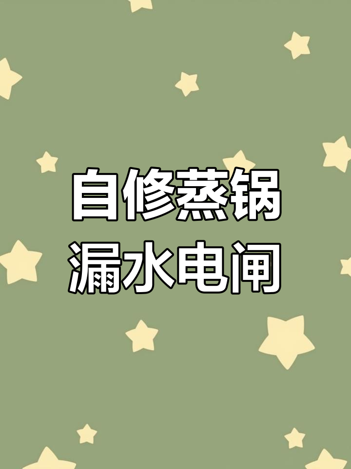 蒸锅漏水跳闸,夫妻俩动手维修,竟然成了家电达人!