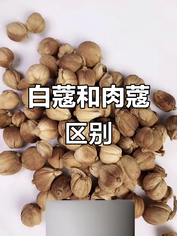 白蔻与肉蔻的区别:去异味增香大揭秘