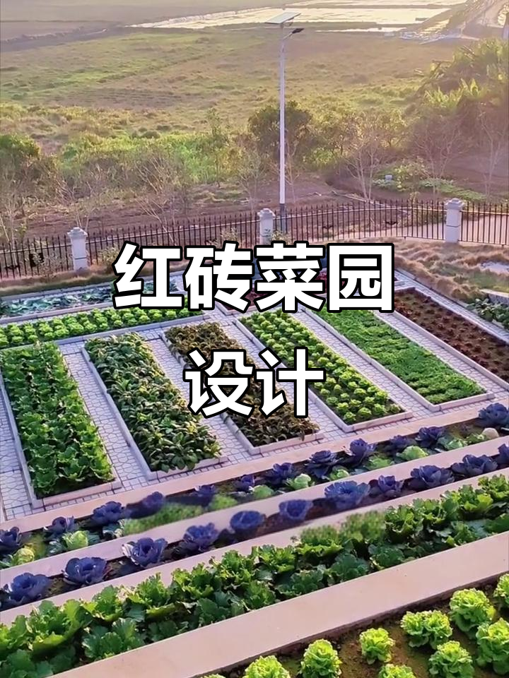红砖打造美丽菜园，乡村小院更添生活气息