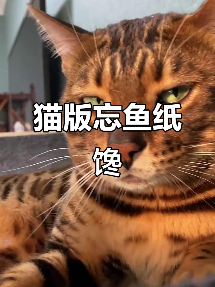 猫咪学做鱼,竟然成了“忘鱼指馋”高手!