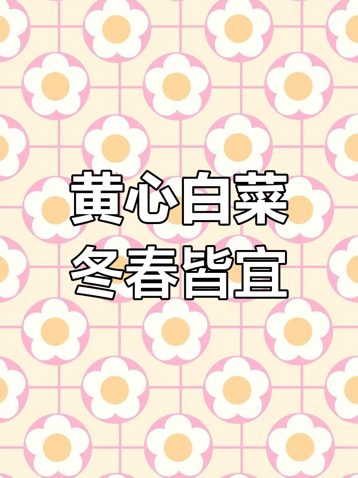 早熟黄心白菜,耐寒抗病又美味!