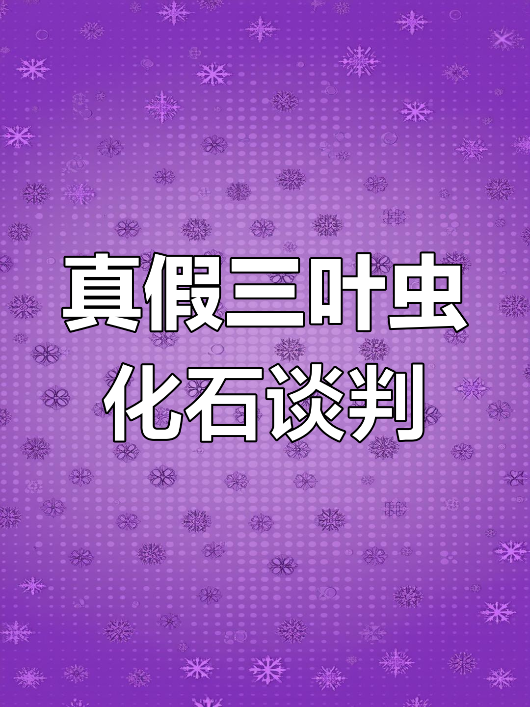 三叶虫化石真假难辨,老板直接开价两千五!