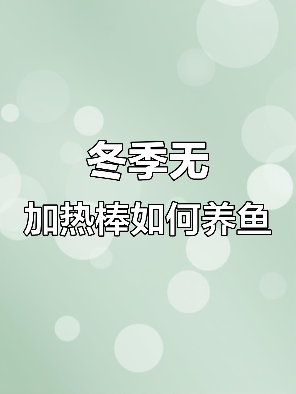 没有加热棒,鱼怎么过冬?我来分享小技巧