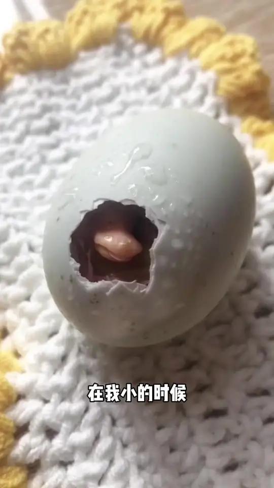在我小的时候~你就是我的小鸭 柯尔鸭绝味在我小的时候在我小的时候你就是我的小鸭