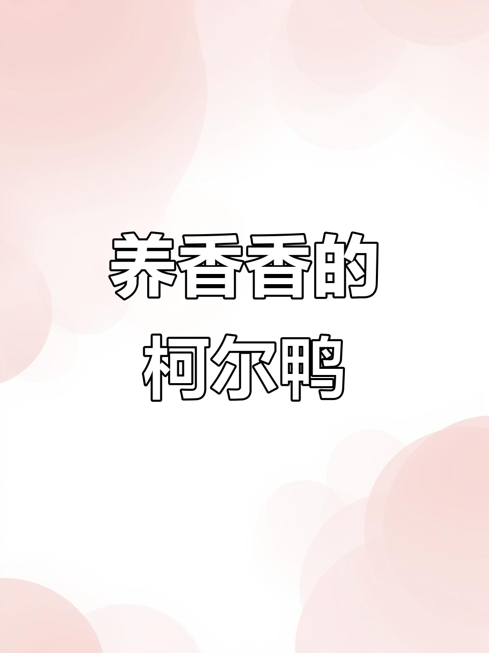 柯尔鸭养家里不臭？这些小技巧你必须知道