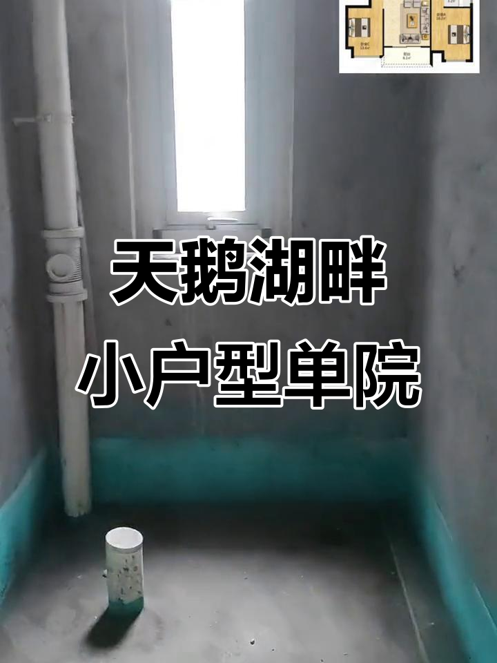 新郑天鹅湖畔小面积一楼单院,设计独特仅此一套