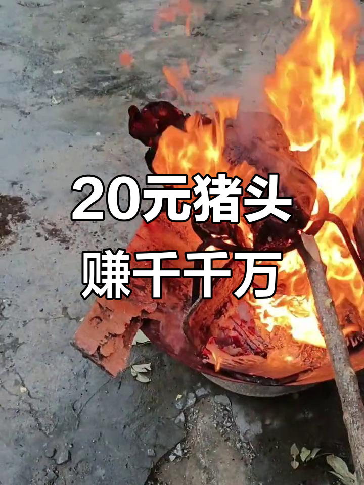过年买猪头,便宜又实惠!狼猪肉头能煮出财富吗?