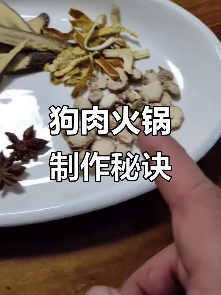 北海狗肉火锅,香料与干虫炒制秘方大揭秘