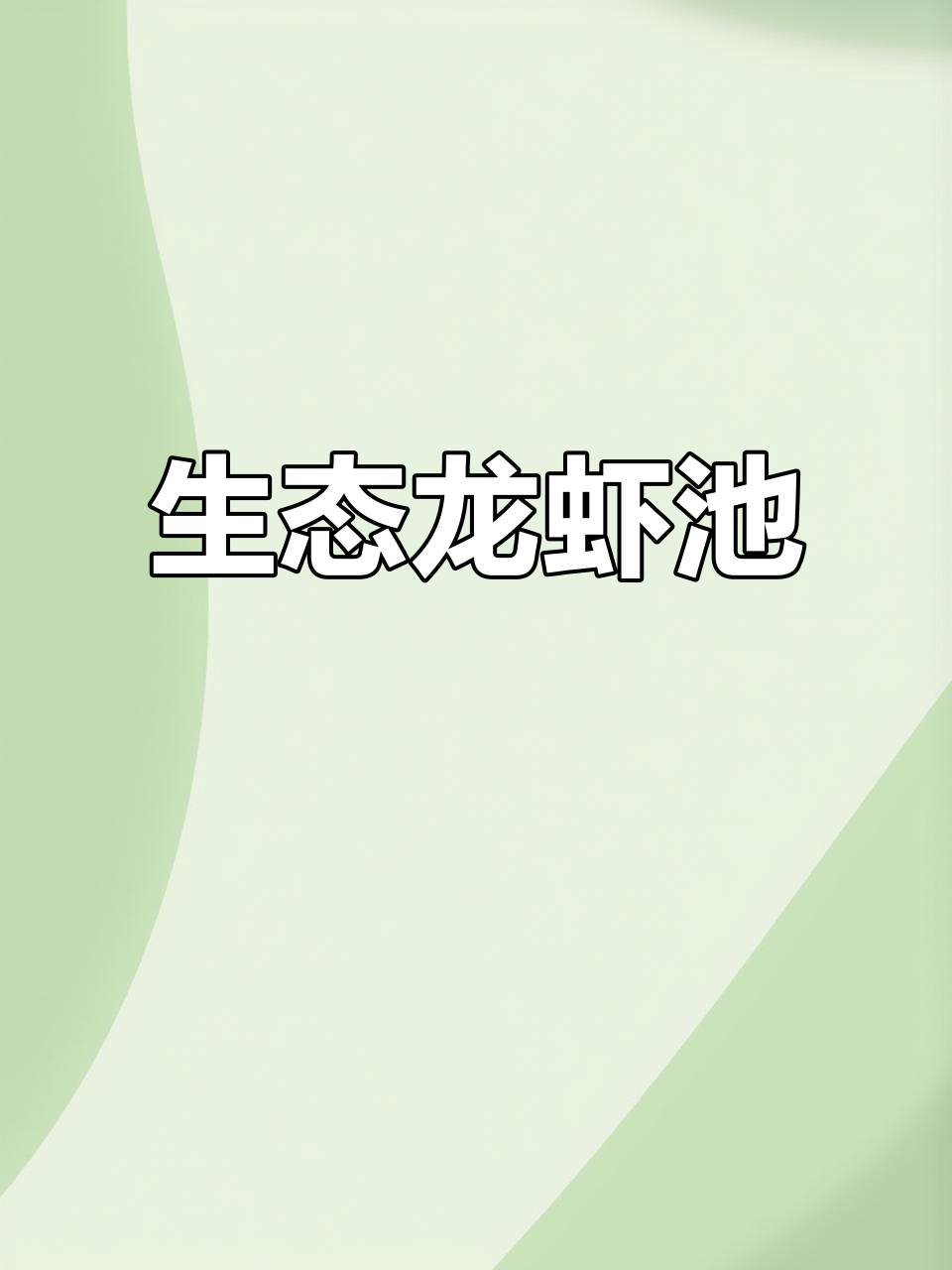 8000平米龙虾池,生态养殖,安全无味