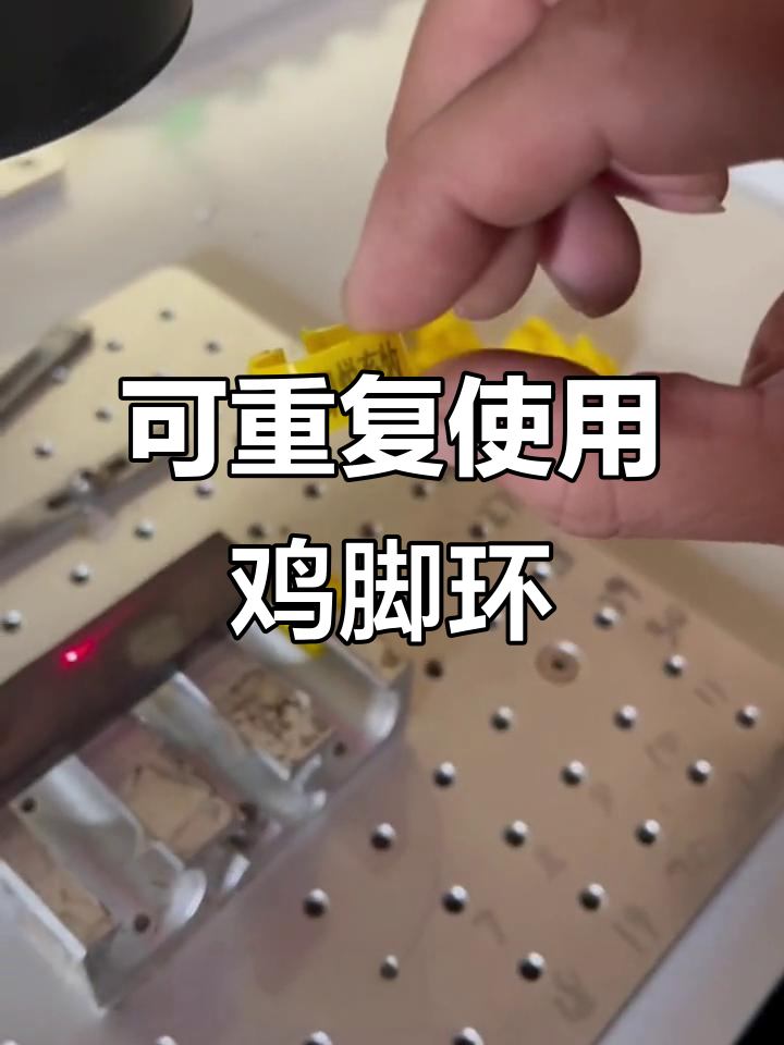定制激光logo,鸡脚环大小通用,养殖管理更高效