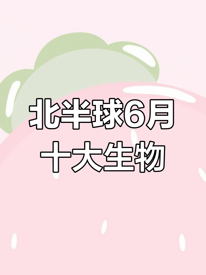 6月北半球必看!十种鱼虫图鉴,千万别错过