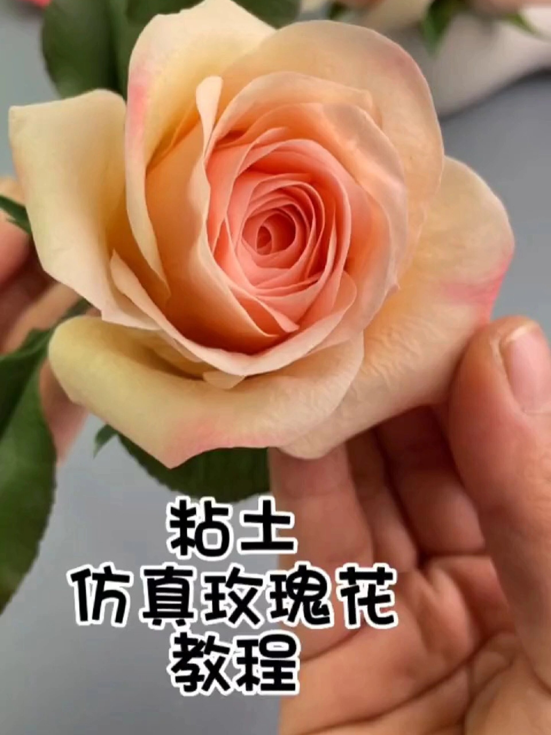 粘土仿真玫瑰花教程