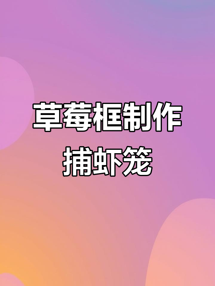 用草莓小框DIY捕虾笼,简单又有趣!