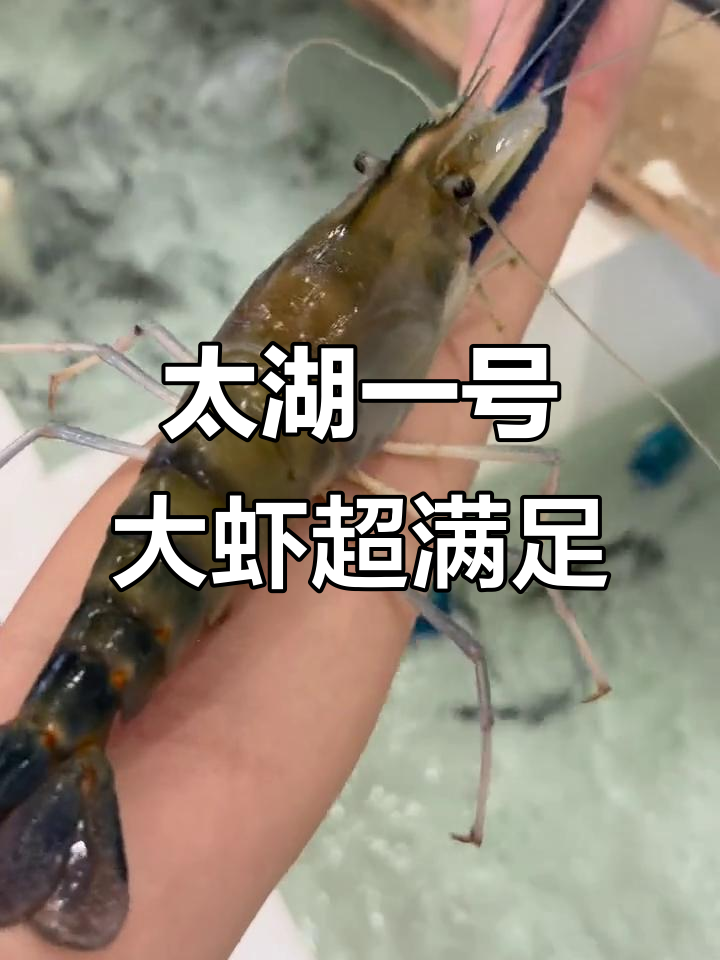 超大太湖一号大虾,肉多到爆!