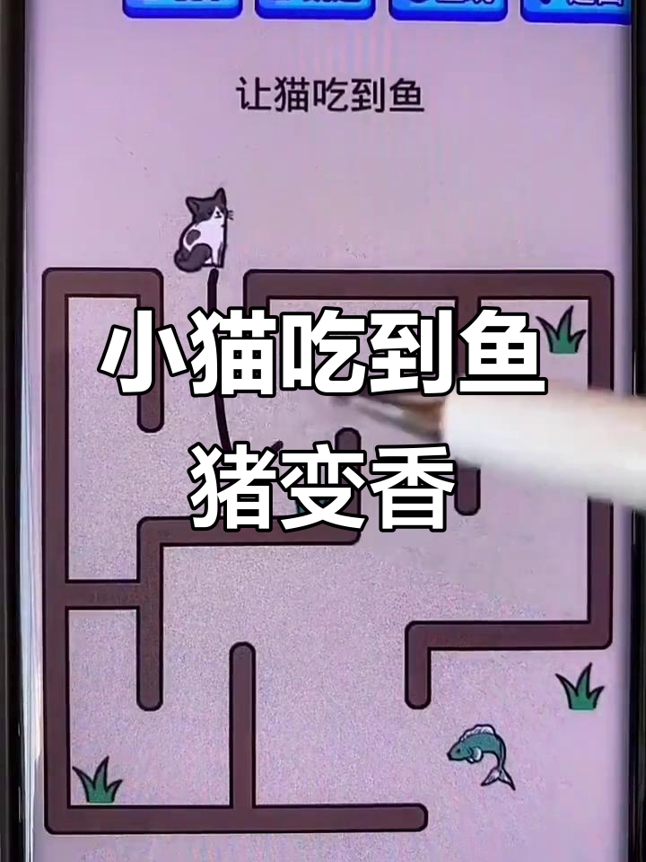 画出最短的线,让小猫咪和光头强吃到大餐!