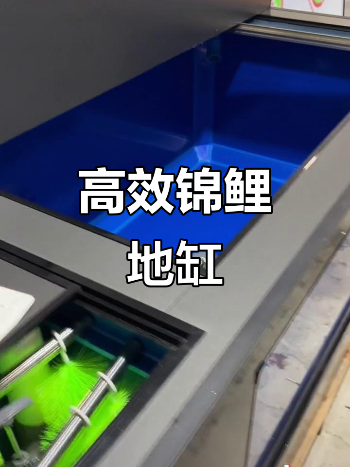 隐藏式防跳网设计,高效过滤让鱼缸更易打理