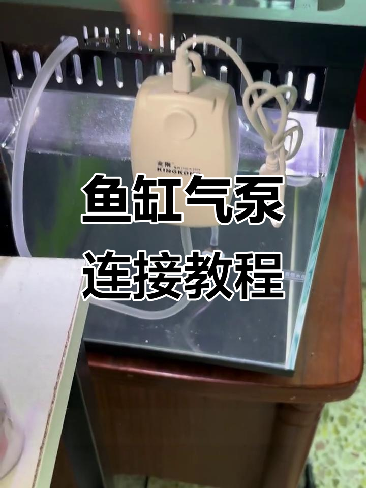 当贝鱼缸气泵安装全攻略，轻松解决氧气问题