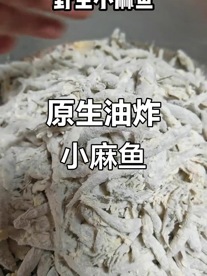 冬季难得的美味小麻鱼,原生态炸制让人怀念