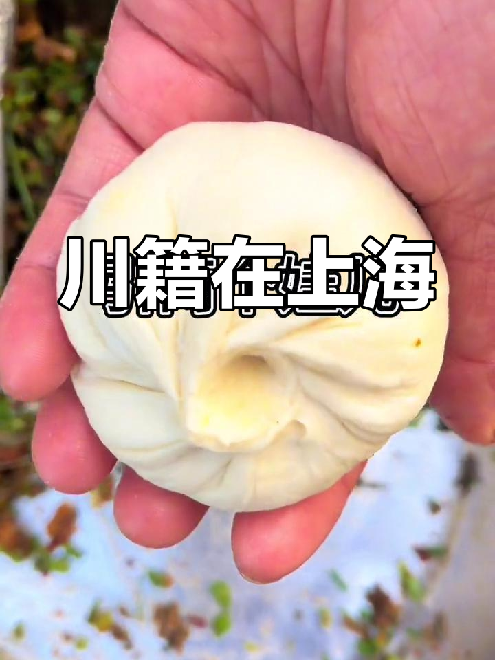 四川巴中通江人,现居上海青浦